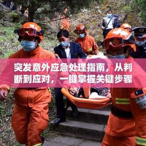 突发意外应急处理指南,从判断到应对,一键掌握关键步骤!