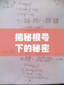 揭秘根号下的秘密，探究48的根式解析