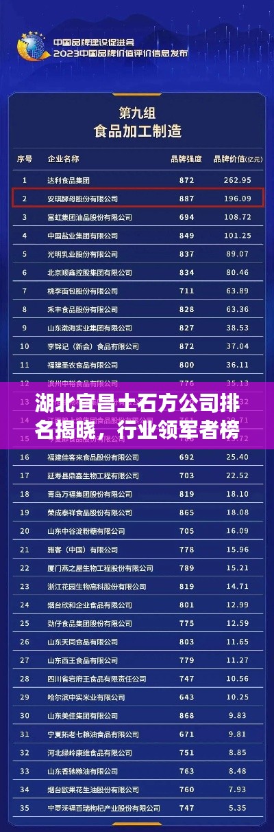 湖北宜昌土石方公司排名揭晓，行业领军者榜单