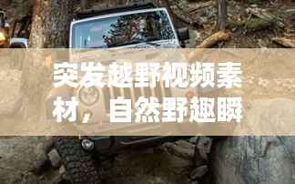突发越野视频素材,自然野趣瞬间的精彩记录