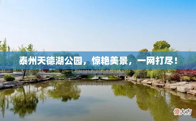 泰州天德湖公园,惊艳美景,一网打尽!