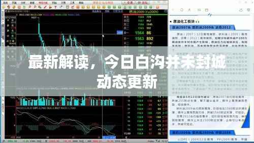 最新解读,今日白沟并未封城动态更新