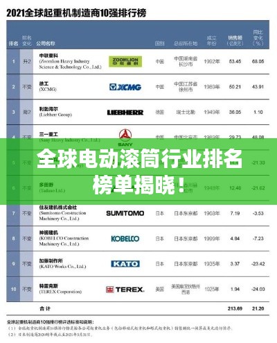 全球电动滚筒行业排名榜单揭晓!