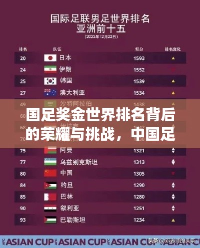 国足奖金世界排名背后的荣耀与挑战,中国足球的崛起与未来展望