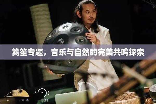 篱笙专题,音乐与自然的完美共鸣探索