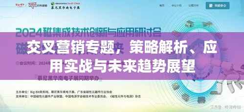 交叉营销专题,策略解析、应用实战与未来趋势展望