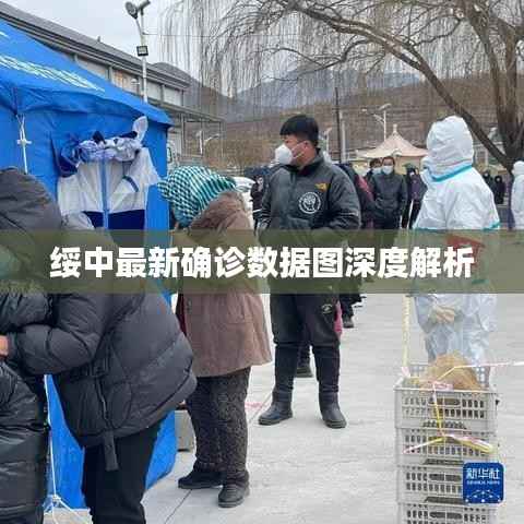 绥中最新确诊数据图深度解析