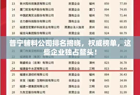 普宁辅料公司排名揭晓,权威榜单,这些企业独占鳌头!