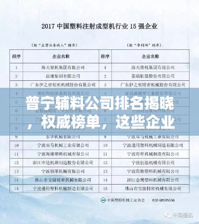 普宁辅料公司排名揭晓,权威榜单,这些企业独占鳌头!