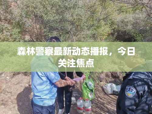 森林警察最新动态播报,今日关注焦点