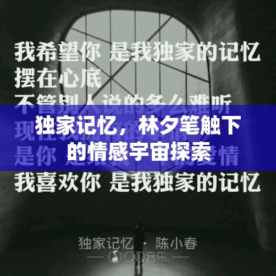 独家记忆,林夕笔触下的情感宇宙探索