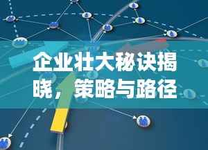 企业壮大秘诀揭晓,策略与路径的双重驱动发展之路