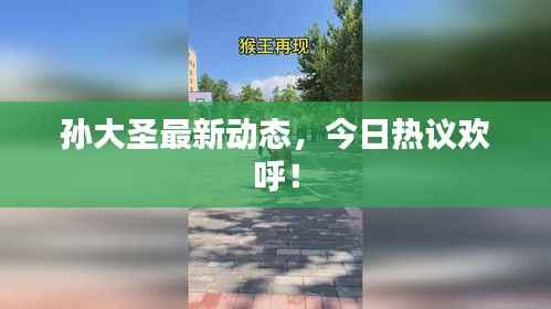 孙大圣最新动态，今日热议欢呼！