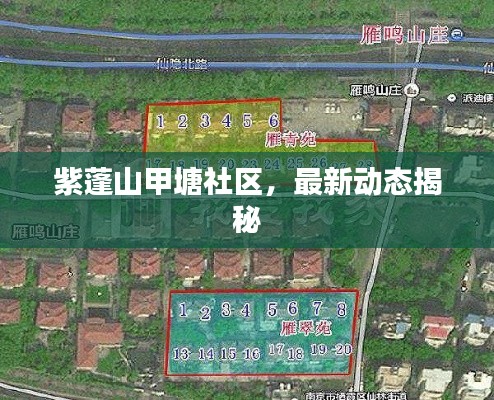 紫蓬山甲塘社区,最新动态揭秘