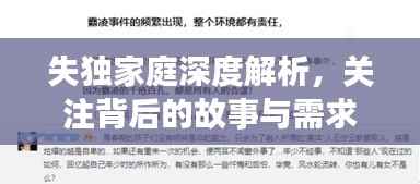 失独家庭深度解析,关注背后的故事与需求