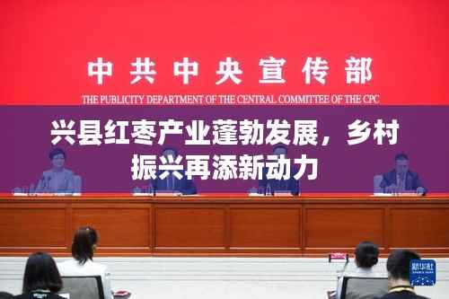 兴县红枣产业蓬勃发展，乡村振兴再添新动力