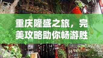 重庆隆盛之旅，完美攻略助你畅游胜地！